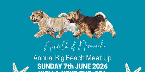 BIG BEACH MEET Wells Next The Sea