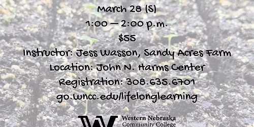 Seed Starting 101 3\/28