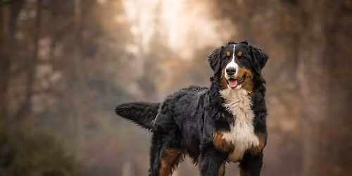 2nd Tuesday Group Class