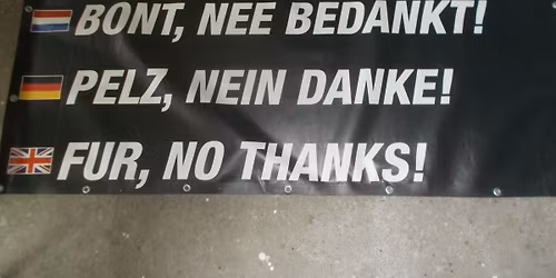 Maastricht >>>FUR NO THANKS <<<