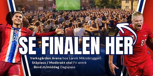 Fotball-VM Finale !!