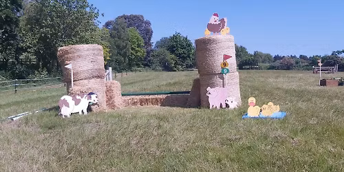 St. Luke\u2019s Charity Horse and Pony Show - Kilronan EC, Swords