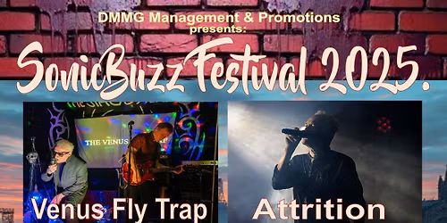 SonicBuzz Festival 2025