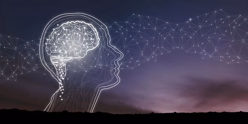 Brain on Yoga Training
