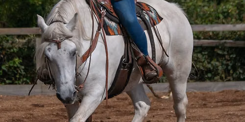 Winter Horsemanship trainin
