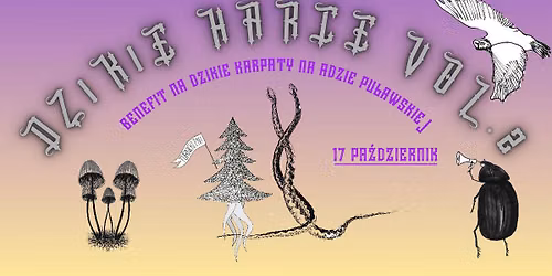 DZIKIE HARCE | BENEFIT NA DZIKIE KARPATY | ADA PU\u0141AWSKA