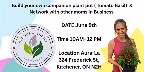 Moms in Business KWC- Plant & Network