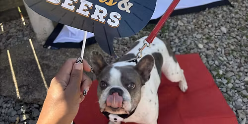 Dog of the Month Social at Lolev