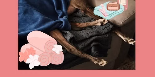 Monthly Greyhound Nail Trim Day 