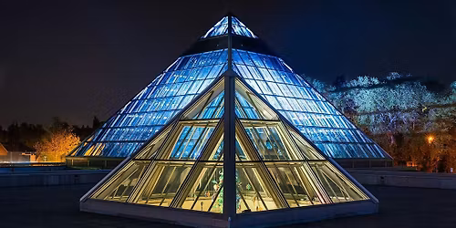 Slow Sunday (Midweek Reset) at the Muttart Conservatory