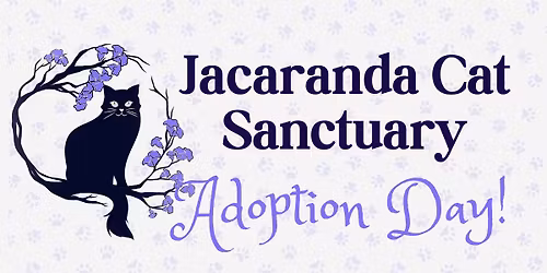 Adoption Day Rockingham!