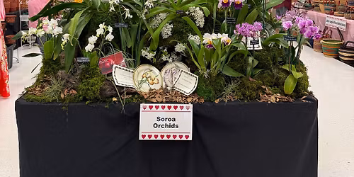 March 2026 - Monthly Meeting