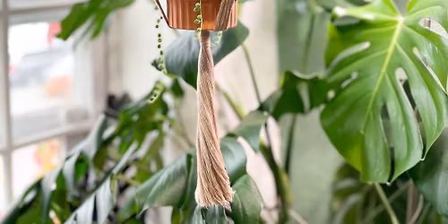 Beginner Macram\u00e9 Plant Hanger Class (Feb. 24)