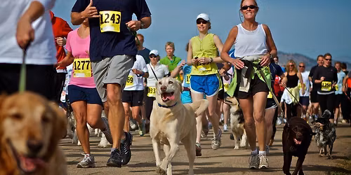 No Paws Left Behind 1st Annual Tails on the Trail 5K