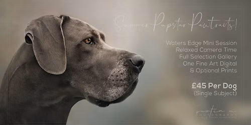 PUPSTAR PAWTRAITS