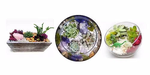 Our Summer Succulent Planting Event