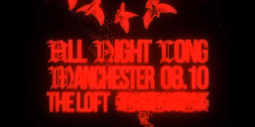 The Loft: Bushbaby (All Night Long)