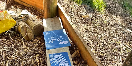 Solstice Cyanotypes Workshop