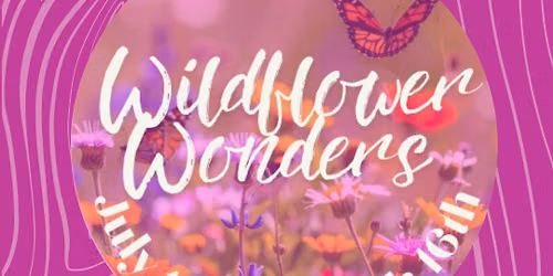 (SOLD OUT) Wildflower Wonders Kids Clay Camp: July 13th-July 16th