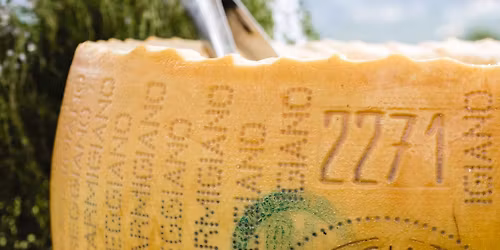 Parmesan Wheel Cracking & Tasting