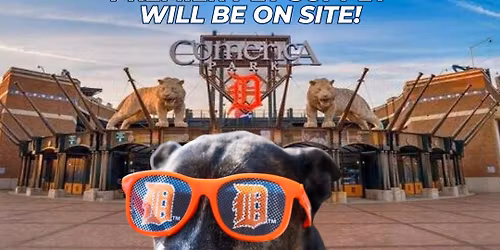 Detroit Tigers Bark In The Park!