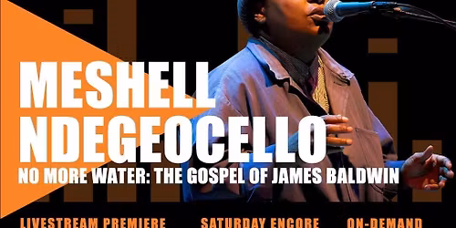 Meshell Ndegeocello at SF Jazz Center - Miner Auditorium