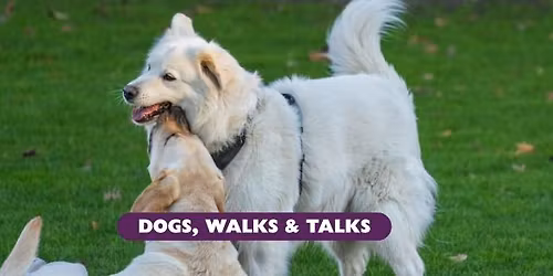 Dogs, Walks & Talks