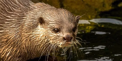 Wildlife Photography Workshop\u201427 June 2026