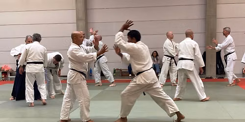 (Free) An Intro to Aikido