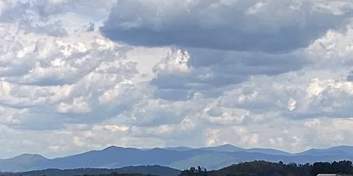 Last two Working Equitation Shows in SWVA
