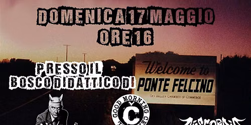 Punk ol'olio - PikNik Version (MATINEE)