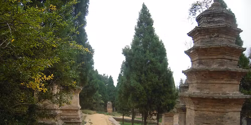 Kurs podstaw Tai Chi Chuan - na Hubskiej