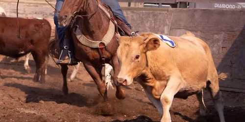 Jackpot - Round Robin