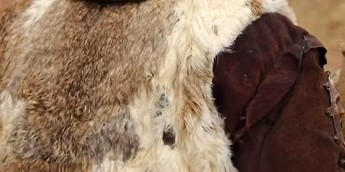 V\u00edt\u00e1n\u00ed jara 2026 aneb \u0161erm\u00ed\u0159i sob\u011b