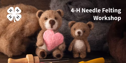 4-H Needle Felting Workshop