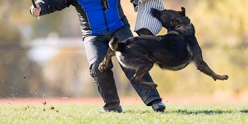 Dominic Scarberry Workshop