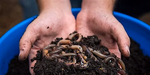 11-19-2026  Worm Composting\/Vermiculture