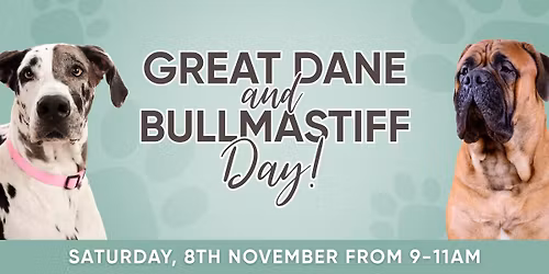 Great Dane and Bullmastiff Day
