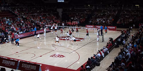Stanford Cardinal at Louisville Cardinals Womens Volleyball