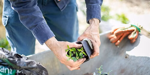Summer Saturdays: Volunteer Sessions at St Mary's Churchyard, Walthamstow