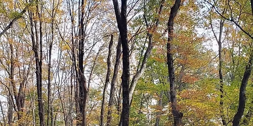 Tour Westborough's Newest Open Space!