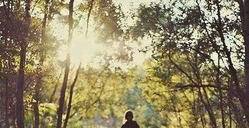 Try Nordic Walking in Mossley