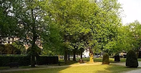 Les arbres ces alchimistes