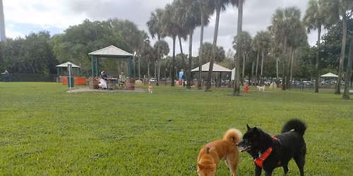 December 2025 meet up