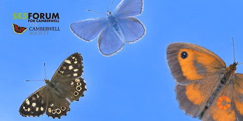 Camberwell Butterfly Safari - Big Butterfly Count