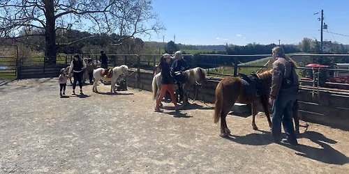 Pony Preschool August 29 (10am)