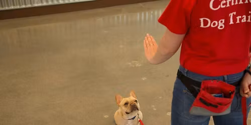 Beginner Level 1 Training Class