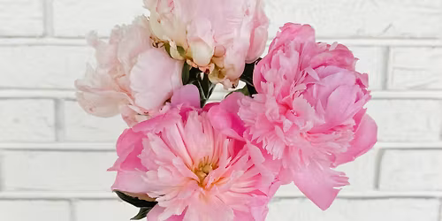 Peony Workshop