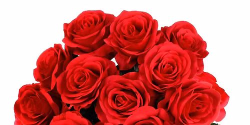 Valentine's Day Party