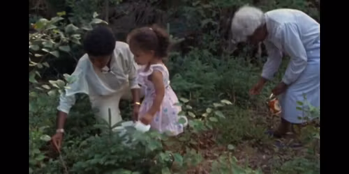 Black Life in Nova Scotia: Film Screening + Discussion